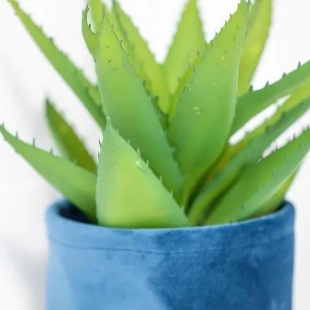 Apartament Seaside View - Gardenia Seaside *