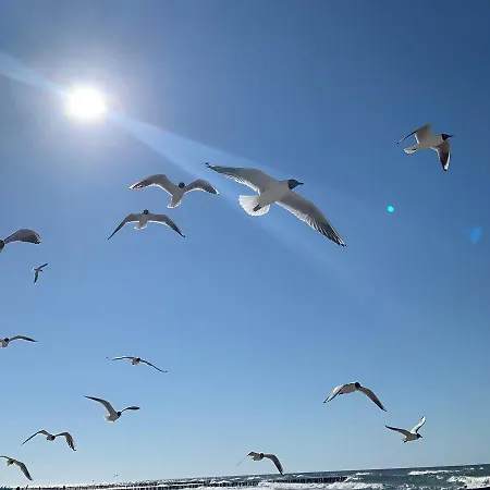 Seaside View Tuz Przy Plazy- Gardenia Seaside Dziwnow-sannel For Rent شقة *